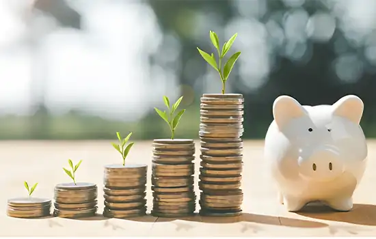 Rewards and Incentive Rates in Oman